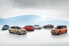 2014年中國汽車市場斯柯達(dá)品牌銷量排名躍升十位